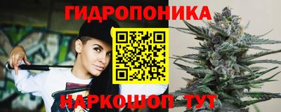 PSILOCYBIN Краснодар