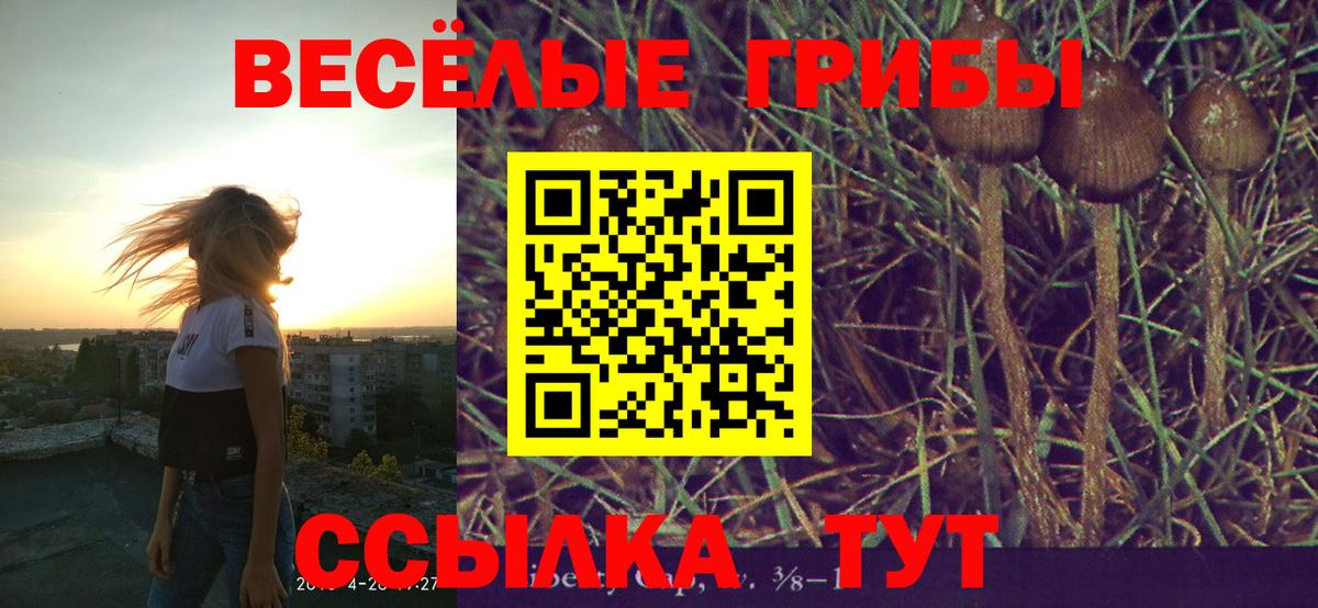 купить  цена  Псилоцибиновые грибы Psilocybe  Вход с VPN  Елабуга  Галлюциногенные грибы MAGIC MUSHROOMS 